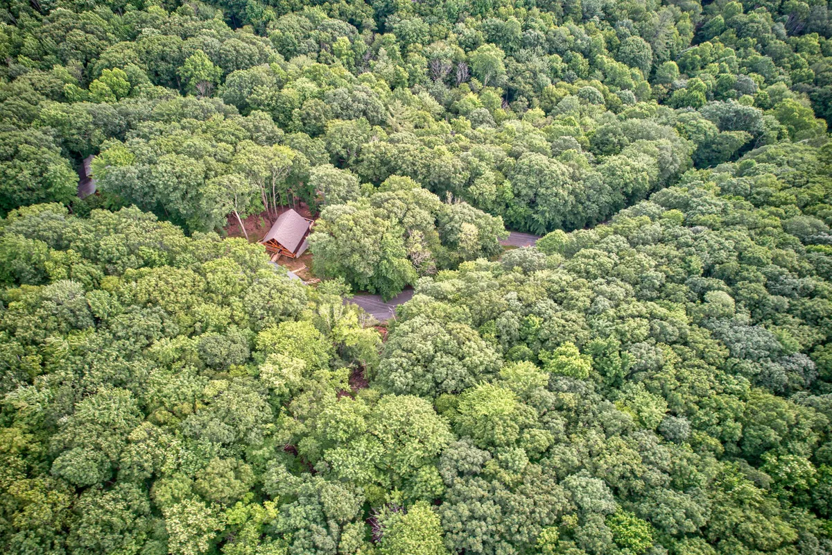 This image captures the cabin nestled among tall trees, with a winding path leading up to it. The natural surroundings evoke a sense of adventure and accessibility to outdoor activities, perfect for families looking to explore.