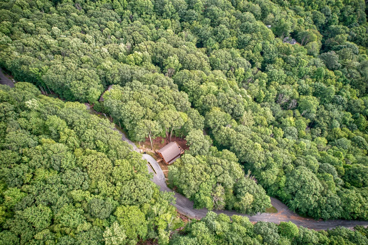 A secluded cabin sits nestled among dense trees, with a winding road leading up to it. The peaceful surroundings evoke a sense of adventure and immersion in nature, highlighting access to hiking trails and outdoor activities.