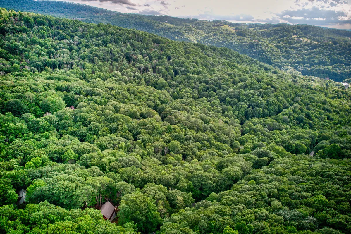 A sweeping view of lush green forests and rolling hills dotted with distant cabins, evoking a sense of the expansive, pristine outdoors surrounding the property.